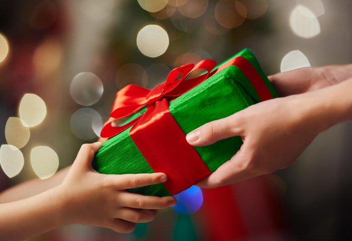 preservar-a-vida-e-o-melhor-presente-para-este-fim-de-ano